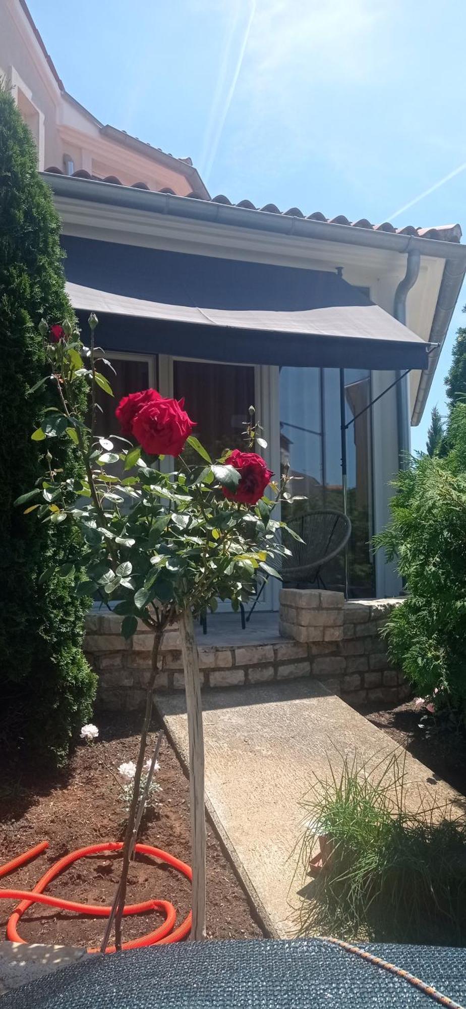 Villa Gregovica &T 2 Pula Extérieur photo